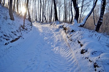 Зимняя сказка / солнечный день