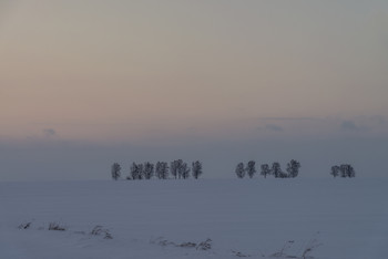 Зимняя сказка / Пейзаж в Сибирской глубинке. Без речки, без избушки, без лодочек.