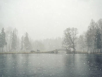 Snowfall in the city Park. Gatchina. Russia. / Snowfall in the city Park.