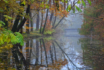 The quiet river on an autumn morning / Ich liebe den Herbst und seine Farben, wenn man dann noch auf die Lichtstimmung achtet, kommen eigentlich immer schöne Aufnahmen dabei heraus