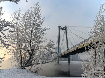 В морозном кружеве / Остров Татышев в морозные дни украшен деревьями в инее, а подвесной мост уходит в морозный туман.