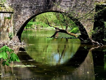  / ein kleiner Fluss, eine alte Brücke und ein alter Baum
die Nethe, ein Nebenfluss der Weser