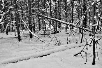 &quot;Везде зима - внутри, снаружи ...&quot; / &quot;И холодно, и некого встречать.
 Везде зима - внутри, снаружи ...
 Так хочется все заново начать
 и не терять того, кто нужен ...&quot;
 К.Крамар
