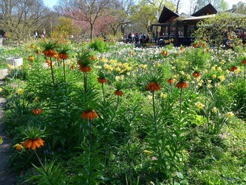 Planten un Blomen Hamburg / Весна в парке цветов
Альбом «Гамбург. Парки&quot;: http://fotokto.ru/id156888/photo?album=75053# Альбом «Пейзаж»: http://fotokto.ru/id156888/photo?album=76852
Слайд-шоу &quot;Парк цветов летом&quot;

https://www.youtube.com/watch?v=glVWjqRqZr0

Слайд-шоу &quot;Парк цветов весной&quot;

https://www.youtube.com/watch?v=kJVKlWcQxCg

Слайд-шоу &quot;Парк цветов осенью&quot;

https://www.youtube.com/watch?v=_Q7gRXGUa5A