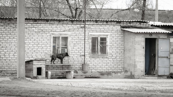 Поближе к хозяину / Послушать, о чем там говорят.