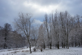 Просинь / Timiryazev park, Koptevo neighborhood, Moscow, Russia