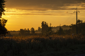 тишина / осень, Подмосковье