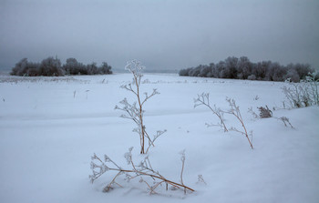 Про пасмурный морозный день / ***