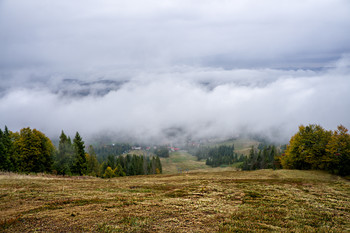 Карпаты / ----