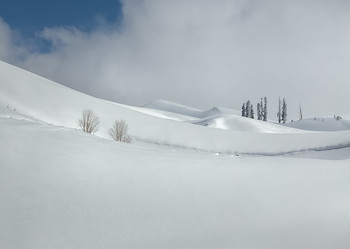 Снежная графика / В горах Абхазии. Лаконичные, плавные линии зимы. И, как восклицательные знаки, пихты. На вершине Мамдзышхи.
Из моего фотоутра «Сказочная Абхазия».