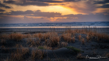 &nbsp; / Evening sunset along the Pacific Ocean in Ocean Shores, Washington
