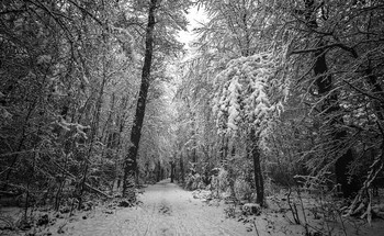  / Январь 19г.