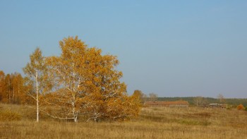 Осень / ***