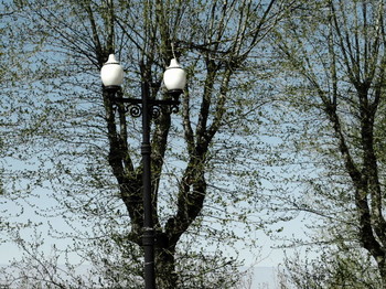 Этюд. Весна / 2015-05-08-574-C01-030(80)+С