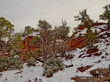 земля Навахо / в Navajo National Monument territory, Arizona, USA