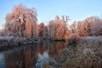  / Wieder ein schöner Wintermorgen an der ruhigen Aller. So ein tolles Wetter musste man ausnutzen, um euch die Schönheit dieser Natur zu zeigen, ich hoffe es gefällt euch !