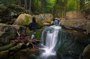 &nbsp; / One morning over a mountain stream, I listened to his song.