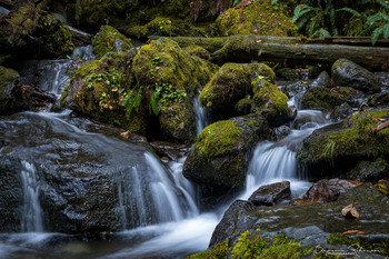 &nbsp; / Waterfall in the Olympic National Park