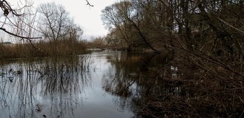 ВЕЧЕР НА РЕКЕ / ЧАШНИКИ