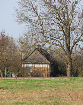 Хутор / Над рекой Стырь