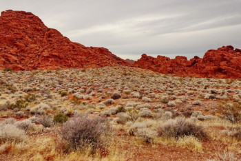 Долина Огня / Valley of Fire State Park, Nevada, USA