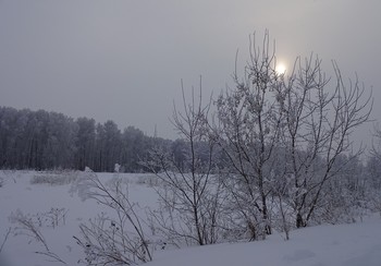 Зима в Сибири / Ордынский район. Окрестности поселка Петровский.