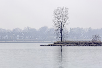 &nbsp; / You could see the bay point tree ok but it was pretty foggy across the river