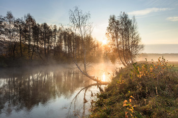 Утро / Река Свислочь