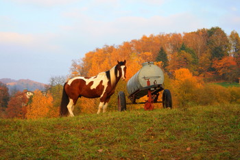 &nbsp; / Odenwald /Hessen