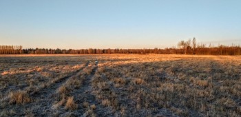 ФЕВРАЛЬСКИЙ ДЕНЬ / Февральский день, а у окна,
Термометр, солнышком согретый.
А на термометре весна,
И никакого нет секрета,

Что за окном всего плюс пять,
И к вечеру похолодает.
В душе такая благодать,
Никто себе не представляет.