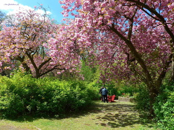 Stadtpark Hamburg / Весна в городском парке
&quot;Парки&quot;: http://fotokto.ru/id156888/photo?album=75053# «Пейзаж»: http://fotokto.ru/id156888/photo?album=76852
этюды»: http://fotokto.ru/id156888/photo?album=66289 «Цветы»: http://fotokto.ru/id156888/photo?album=63914
Парки Гамбурга:
https://www.youtube.com/watch?v=kJVKlWcQxCg

https://www.youtube.com/watch?v=jbG7j-3WUNs

https://www.youtube.com/watch?v=7FteDQbgcSo

https://www.youtube.com/watch?v=vhR7EABRawE

https://www.youtube.com/watch?v=8IsBm8VNvbo

https://www.youtube.com/watch?v=_Q7gRXGUa5A

https://www.youtube.com/watch?v=glVWjqRqZr0

https://www.youtube.com/watch?v=cX90GjJAfHA

https://www.youtube.com/watch?v=ugU8TQbq7Gc