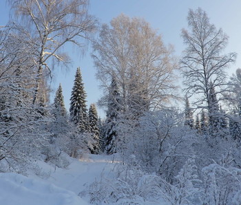 Зима в Сибири / Морозный воздух бодрил, а красота зимнего леса восторгала