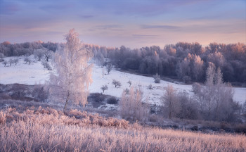 Рассвет в розовом. / Зимний рассвет.