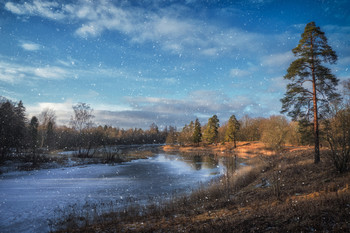 &nbsp; / February in the Park. Leningrad region. Russia.