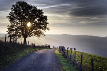 Morning Road / Sunrise in Cantal mountains