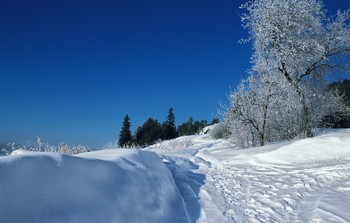 снежная фоточка / Город Нижняя Тура, 09 февраля 2020 года от Р. Х.