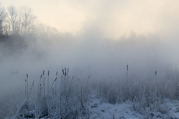 Мороз, солнце и туман... / Туманы февраля