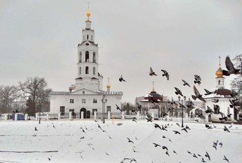 Стретение. Птицы встречают весну / Стретение Господне. По народным приметам, если птицы в этот день напьются талой воды, то весна будет ранней.