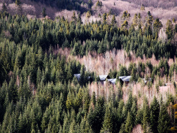 Домики на горе / ***