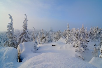 &nbsp; / Зимний лес в горах.