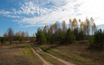 краски осени / осенний пейзаж