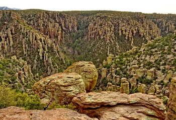 Чирикахуа ..2 / Chiricahua National Monument, Arizona, USA