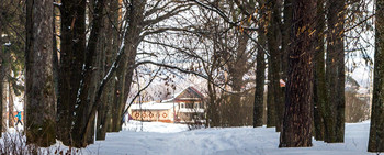 Дом людей в доме природы. / городской парк.