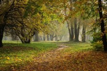 Осень в парке / в Севастопольском