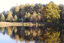 Осенний пейзаж / озеро, осень, отражение