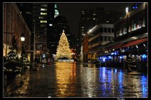 Merry Christmas / Seaport Pear 17