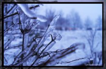 замёрзшее / снято замёрзшими руками