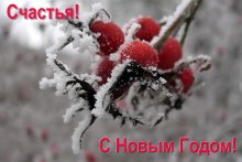 Открыточка / С Новым Годом, коллеги! Счастья и удачи!