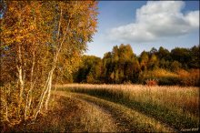 Поле осенью дышало / прошлогодние запасы