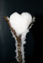 Snow Heart / *****